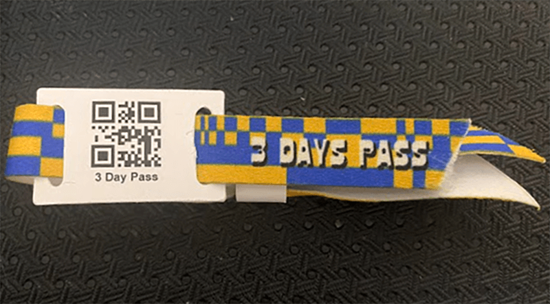 3 day pass_s