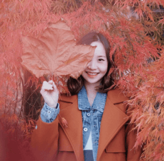 pasted image_s